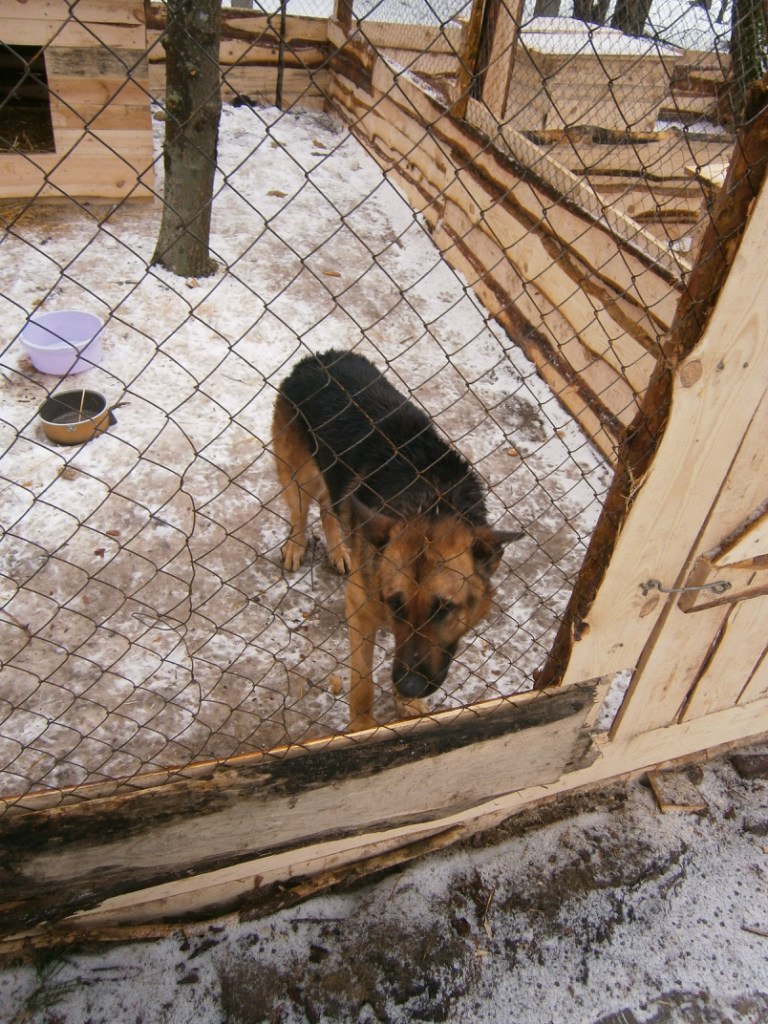 Олександр Брижко | Киев