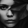 Аватар: Алекс Норт