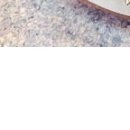 №4, Катя Чех №4, Катя Чех