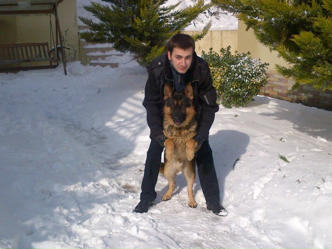 Farid Melikov | Москва