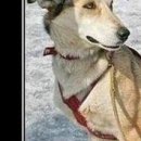 №36, Вадим Бурко, 39 лет, Гомель №36, Вадим Бурко, 39 лет, Гомель