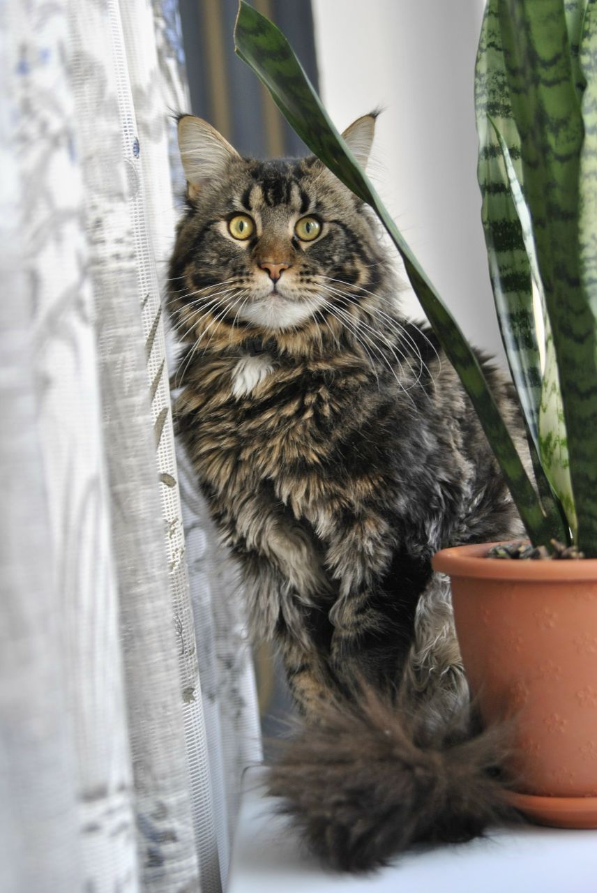 Евгения Седлецкая ❤ i'm ℓo√ﻉ❤ | Калининград