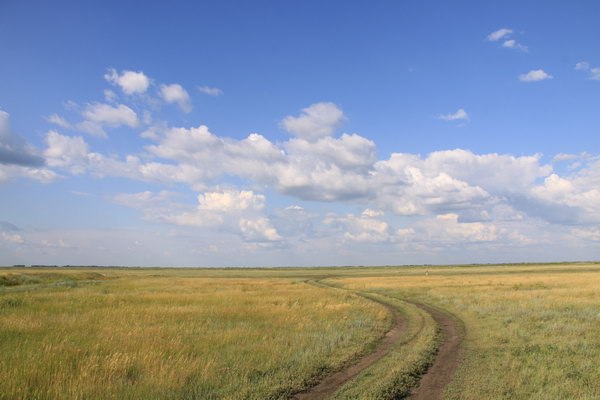 Ольга Вибэ | Freiburg im Breisgau