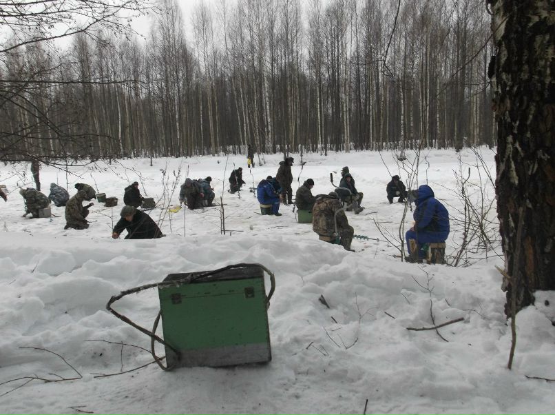 Денис Липтус | Судиславль (пгт)
