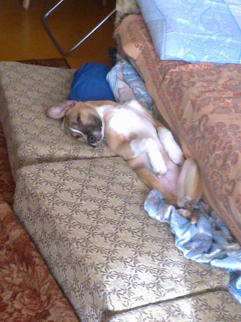 Светик Октябринская | Омск