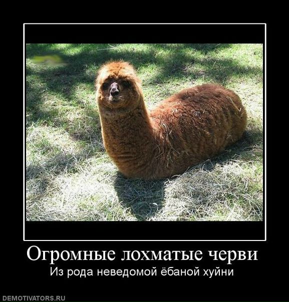№8, Becks Russian Fishing Streams, 39 лет, Москва №8, Becks Russian Fishing Streams, 39 лет, Москва