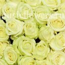 №166, Максим Тарасов, 37 лет, Казань №166, Максим Тарасов, 37 лет, Казань