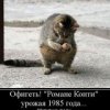 Аватар: Поладин Королевства