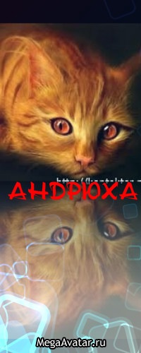 №111, Андрей Плесканюк №111, Андрей Плесканюк