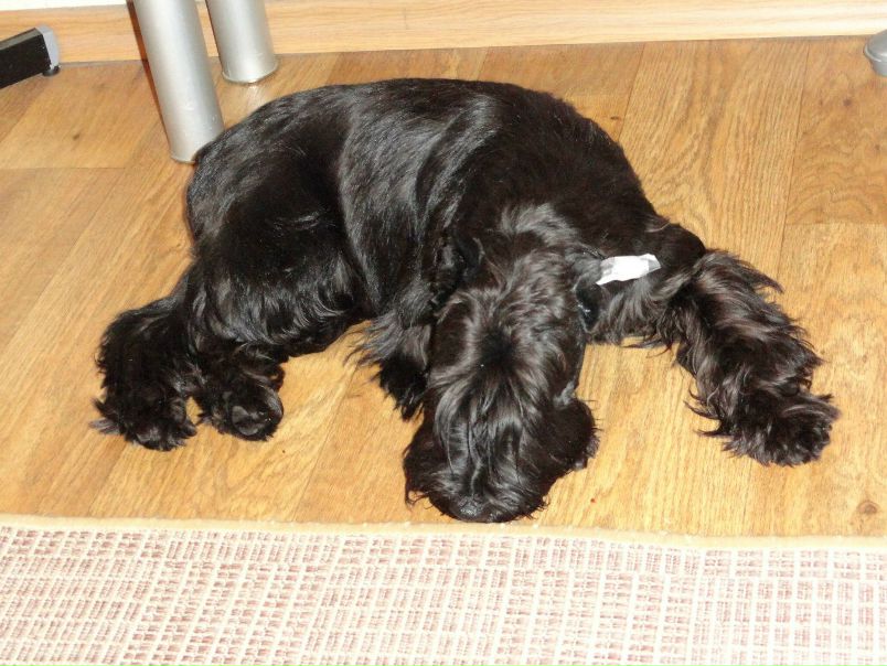 №31, Александр Дегтярев, Петрозаводск №31, Александр Дегтярев, Петрозаводск