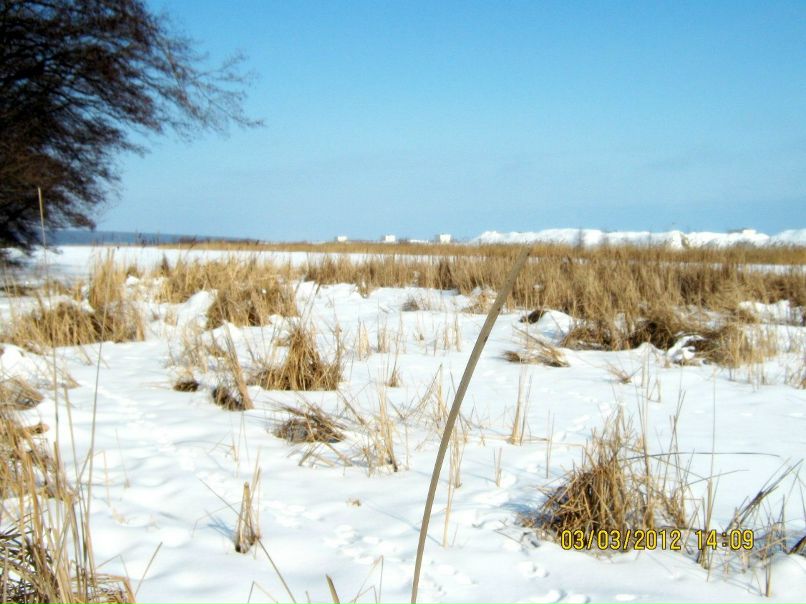 Юлия Горожанкина | Воронеж