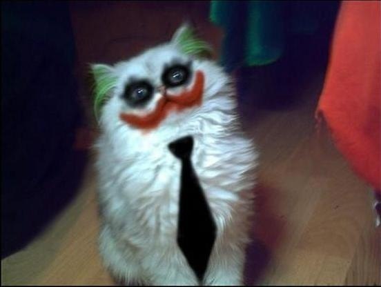 Иван Ветров | Москва