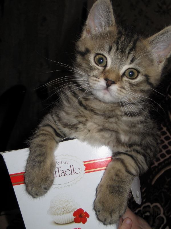 Рузалия Хайруллина | Казань