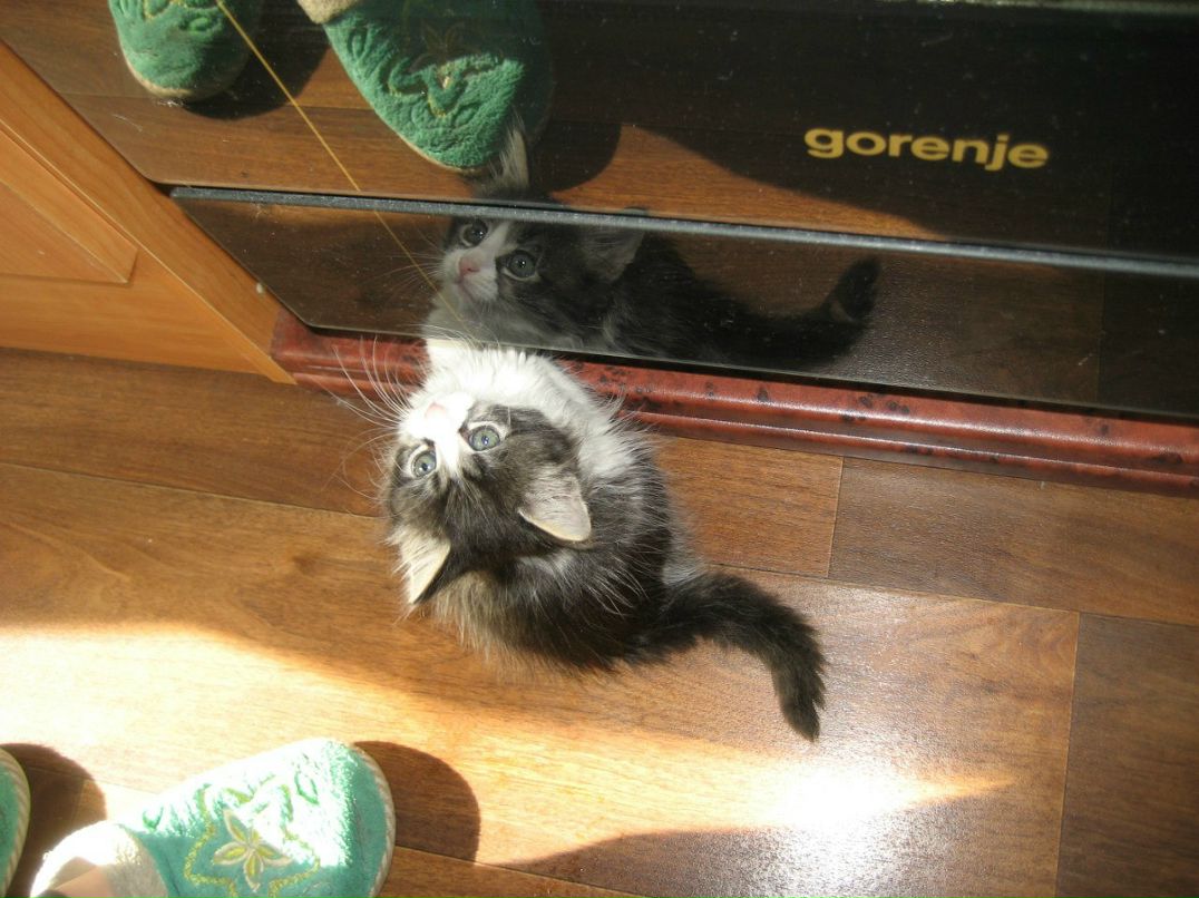 Настена Абрамова | Санкт-Петербург