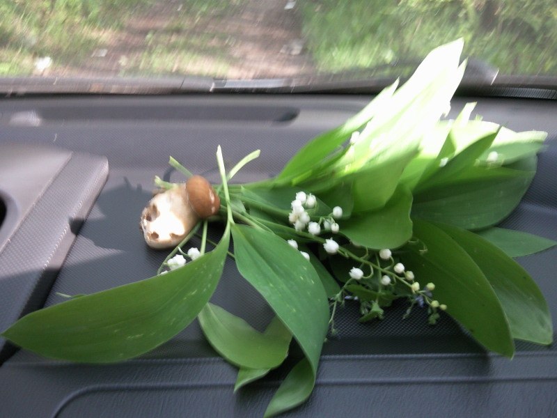 Дмитрий Сысоев | Москва