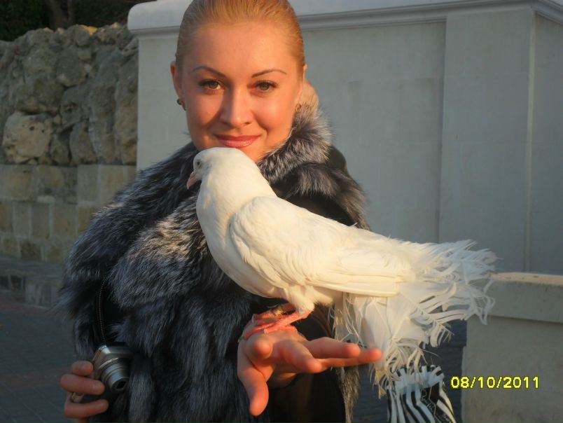 №30, Анна Брови Санкт-Петербург, Санкт-Петербург №30, Анна Брови Санкт-Петербург, Санкт-Петербург