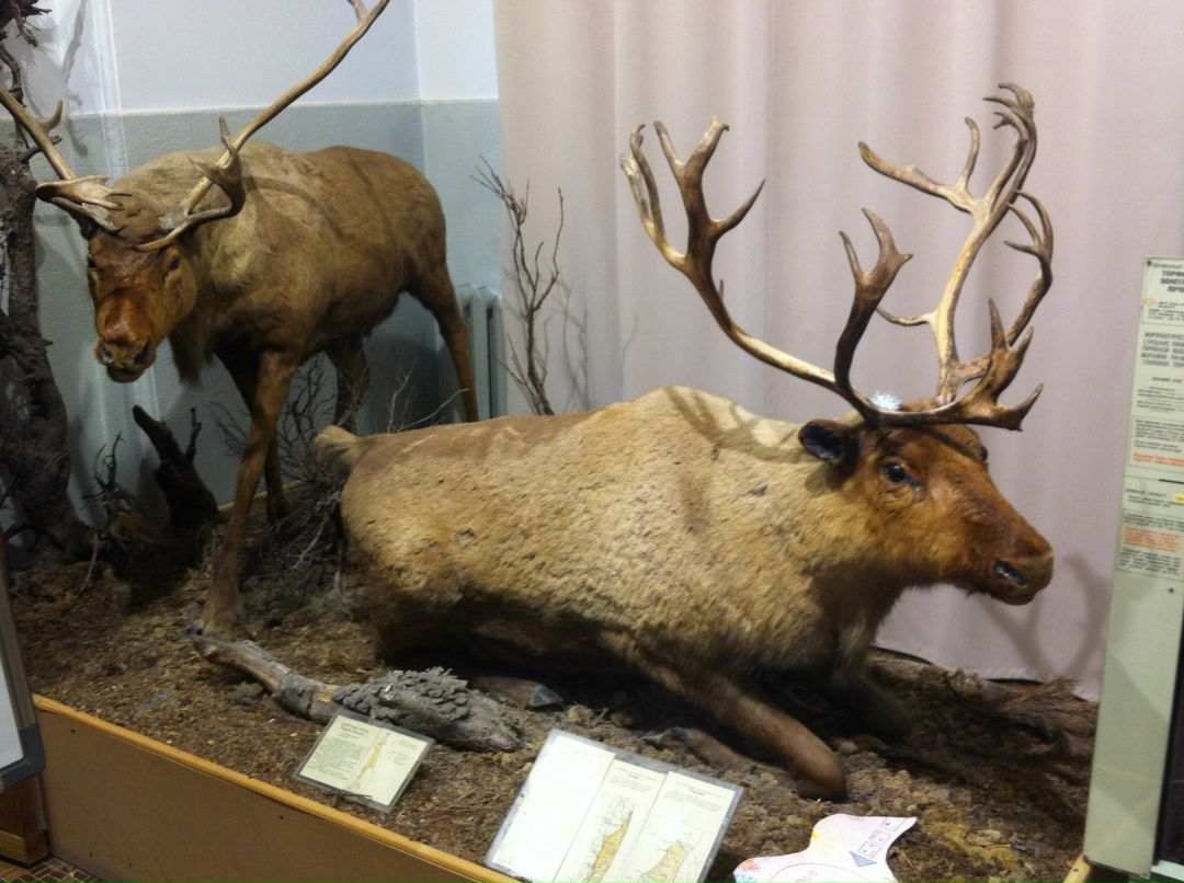 Руслан Листратенко | 