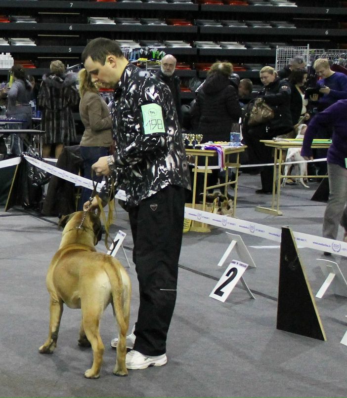 Дмитрий Алексеев | Рига