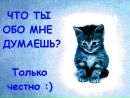 №3 Настюшка Степанова : профиль, фото, статус - ВКонтакте