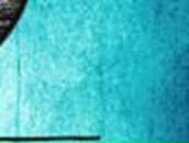 Евгений Лапкин | Мытищи