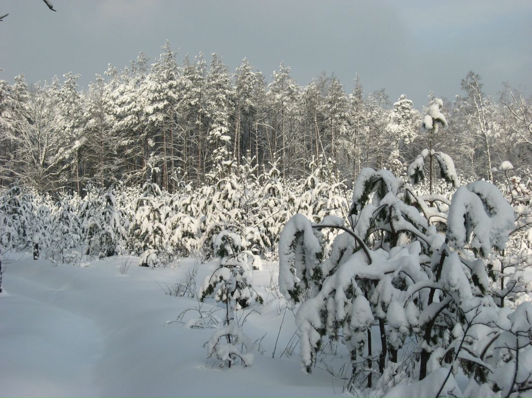 Александр Дехтярь Степанович | Киев