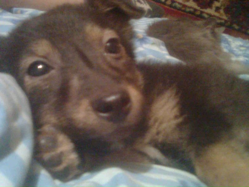 Людмилка Михайленко Звездочк@ | Боярка