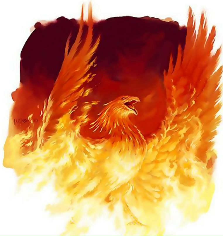 Дмитрий Фадин | Кемерово