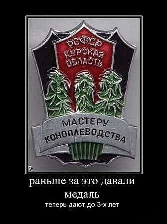 Александр Белоусов | Гудермес