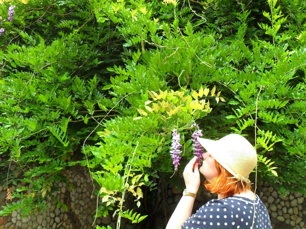 Екатерина Торгашова | Сургут