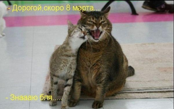 Дмитрий Халецкий | Кемерово