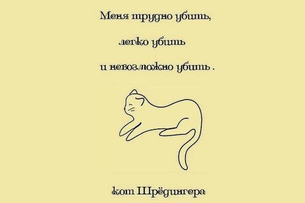 Алексей Куммер | Волгоград