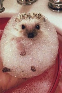 Дмитрий Чернов