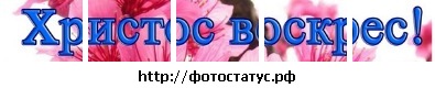 №100, Nina Shopa, Львов №100, Nina Shopa, Львов
