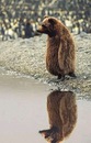 Фотография Дмитриева Егора