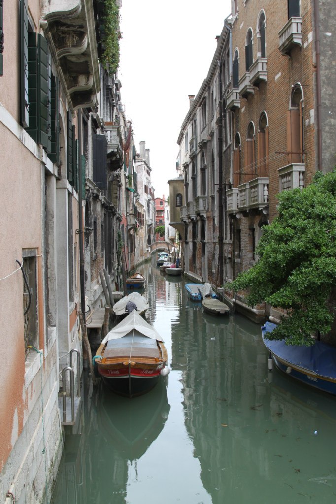 Сергей Горшенин | Санкт-Петербург