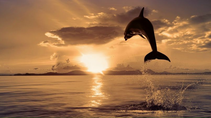 Галина Вашкина | Череповец