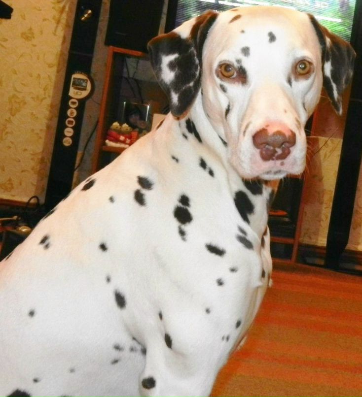 Евгения Хилько | Красноярск