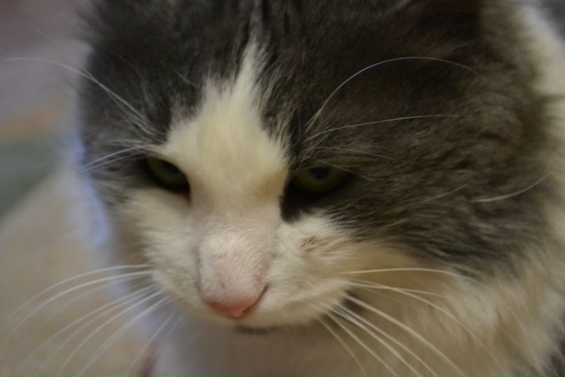 Елизавета Легкобыт | Астрахань