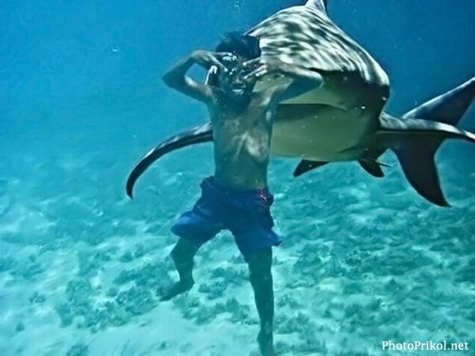 Алексей Афонин | Самара