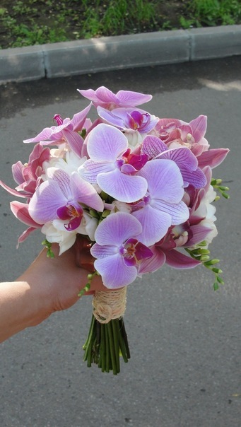 №82, Анна Гришина, Санкт-Петербург №82, Анна Гришина, Санкт-Петербург