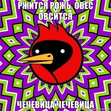 №27, Ляля Суркова, 44 года, Москва №27, Ляля Суркова, 44 года, Москва