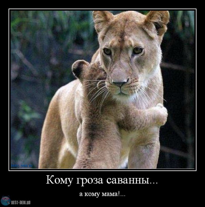 Анна Андраш | 