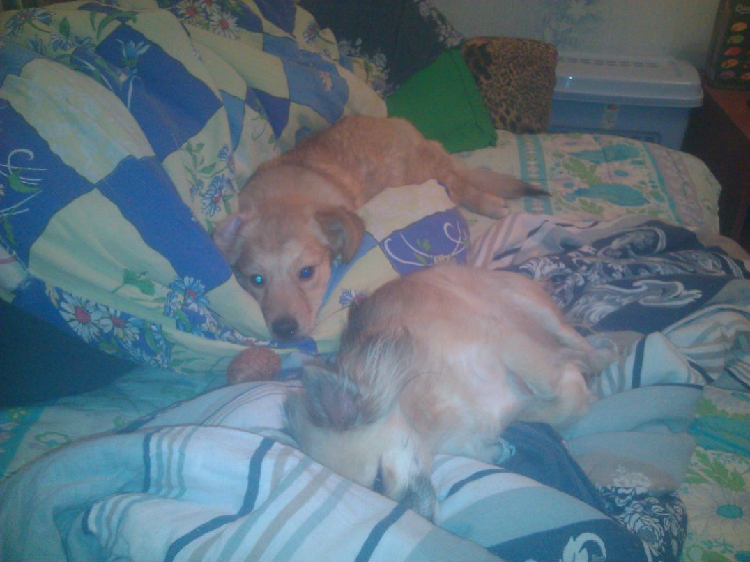 Ленок Асеева | Нижний Новгород