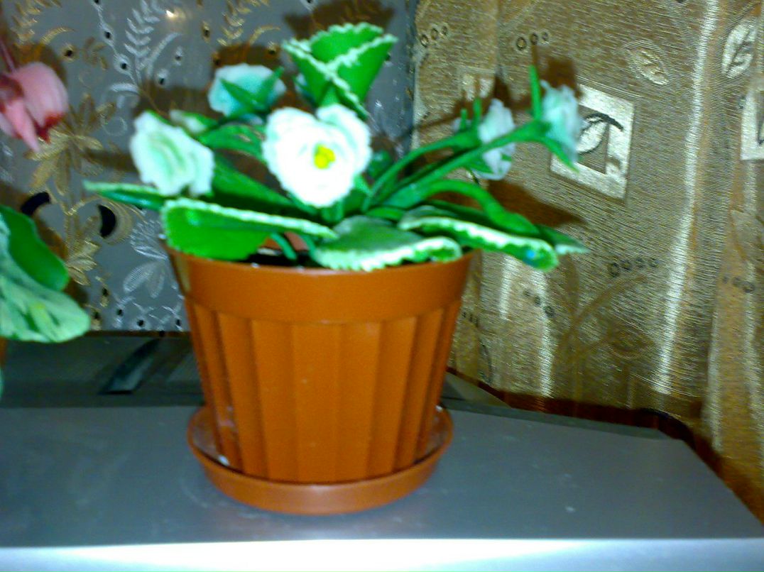 Диана Справедливая | Селидово