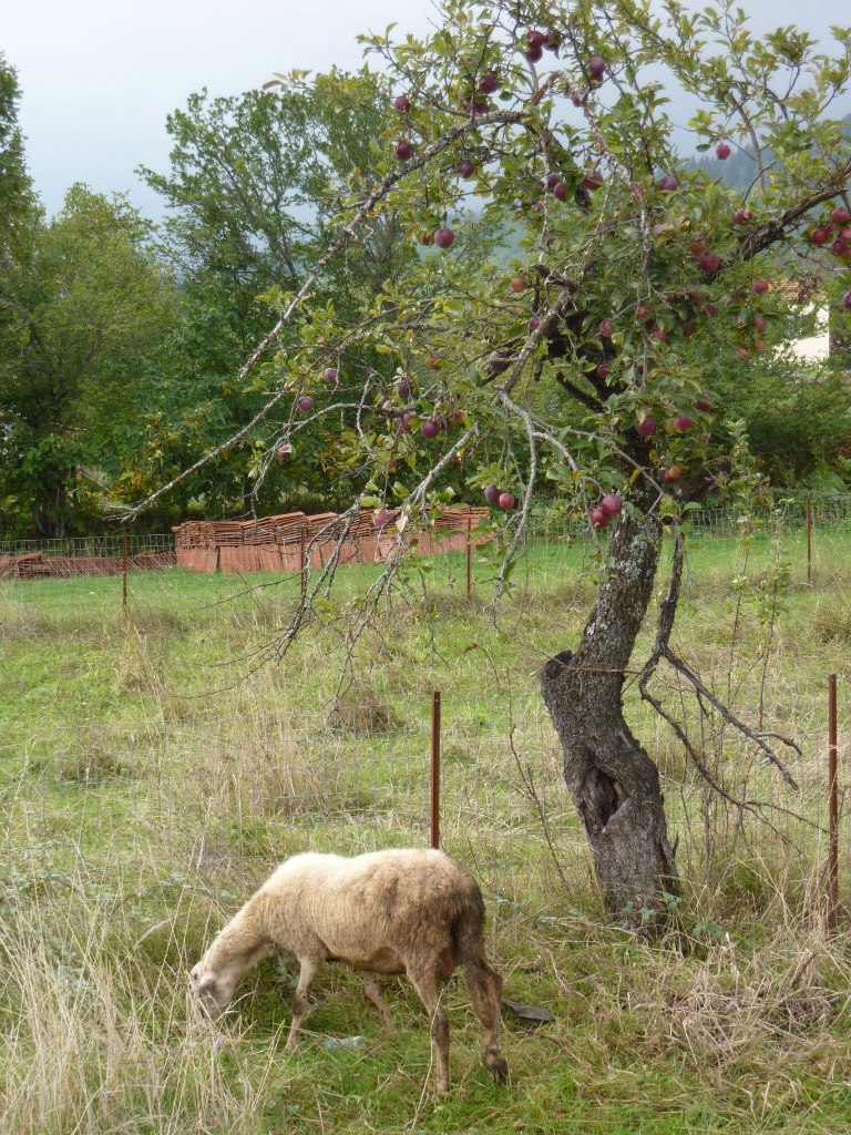 Константин Билибин | Новороссийск