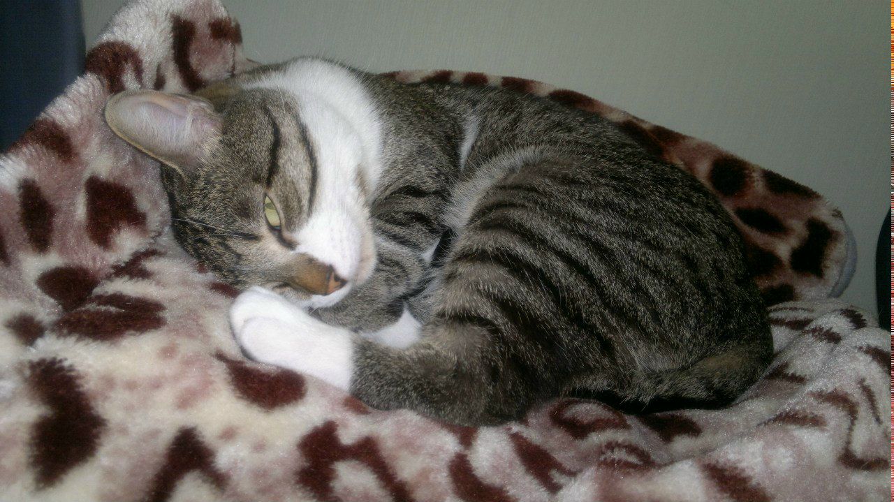 Серёжа Гомза | Москва