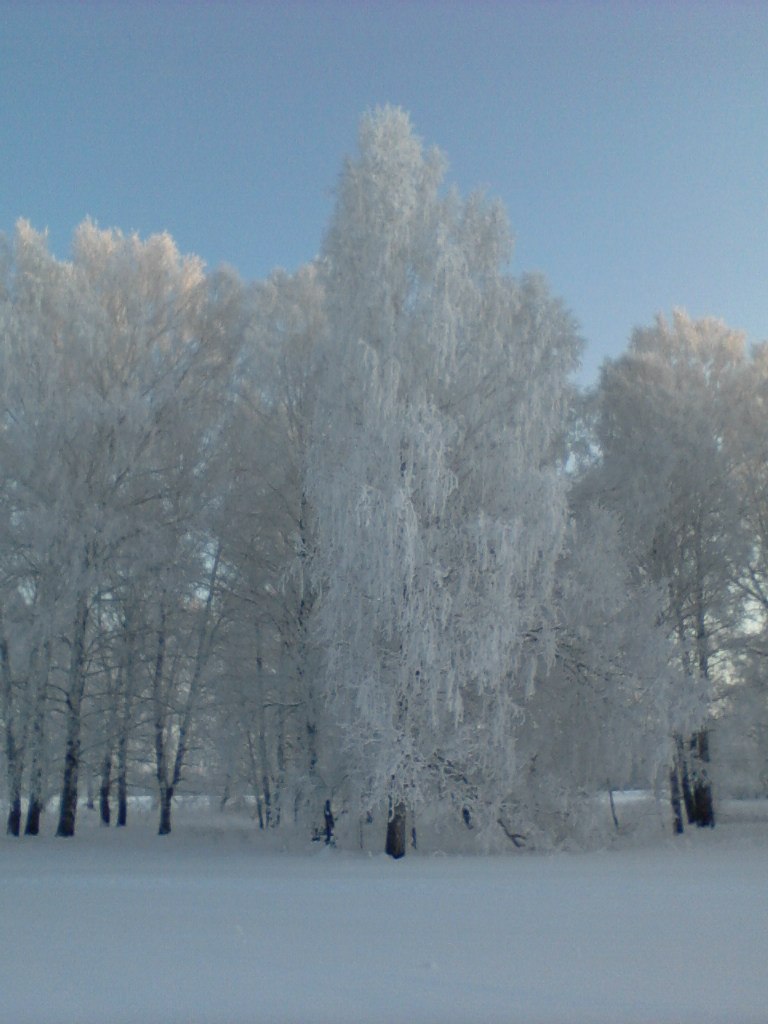 Сергей Кельвих | Новосибирск