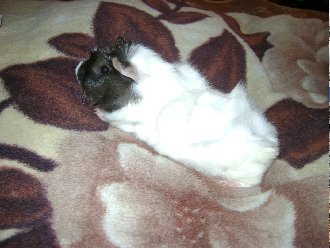 Вера Митрохина | Одинцово