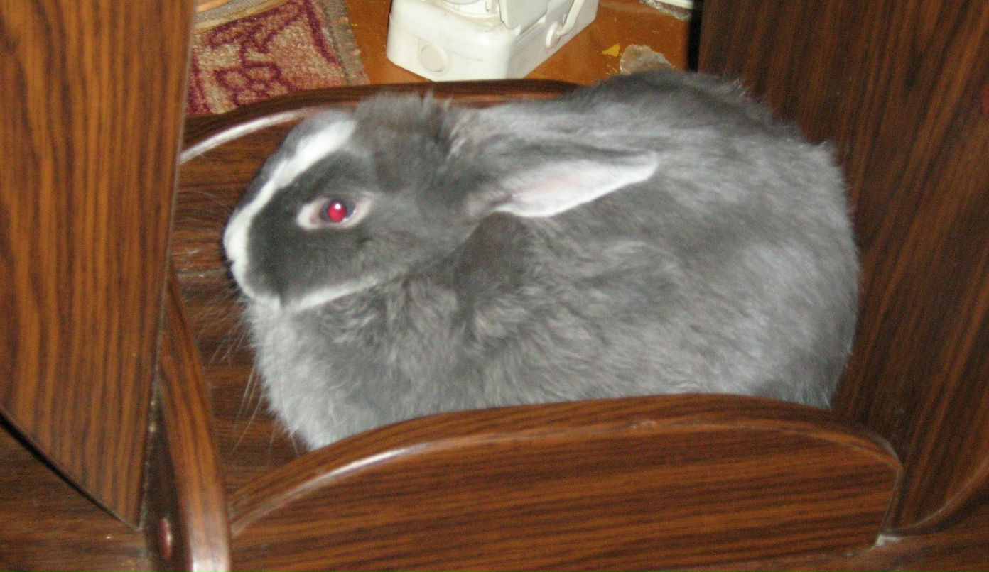 Екатерина Томилова | Челябинск