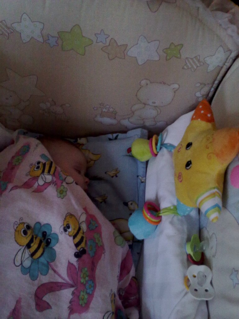 Анатолий Панов | Киев